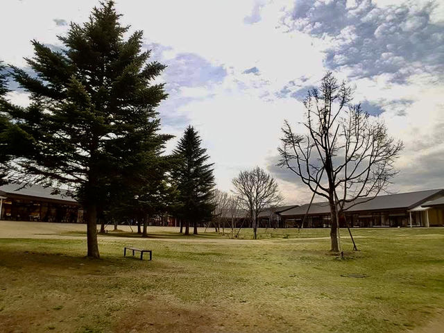 長野縣賞櫻購物ㄧ日遊