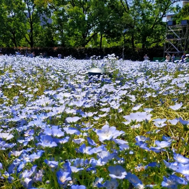 Green Escape in Osaka