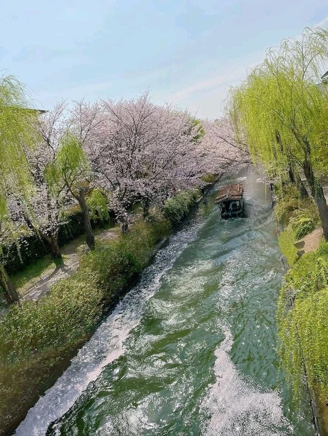 Quiet Beauty with Old Charm