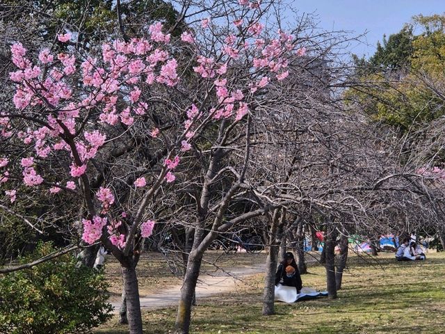 오호리공원 스타벅스💞