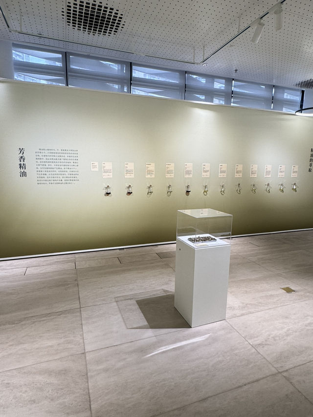 【深圳圖書館北館】 可以眼睇、手摸、仲可以用鼻聞的文學展