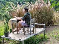 คาเฟ่ในเขา ตูบฮ่อมดอย บรรยากาศฟินมาก แม่เมาะ