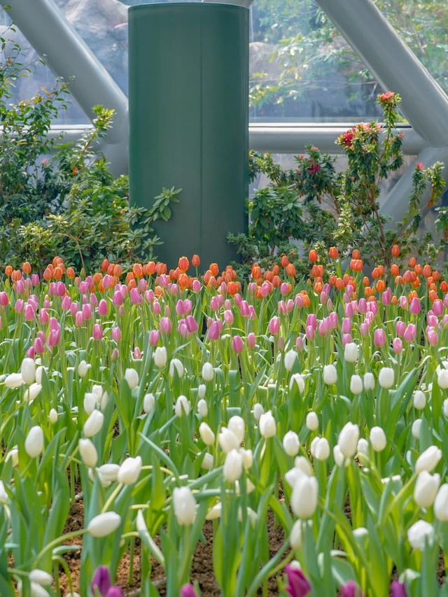 📍: Miracle of Natural🌷โครงการ PTT LN