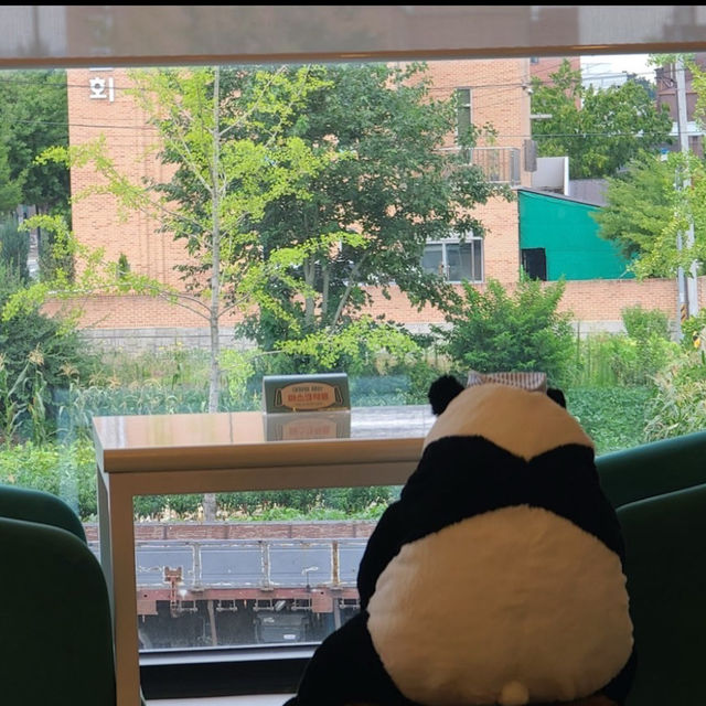 クインロール