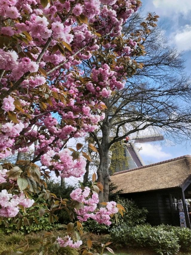 A Blooming Wonderland at Keukenhof Gardens 🌷