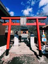 ［東京旅遊］天上山公園-搭乘纜車🚡遠眺富士山🗻風光