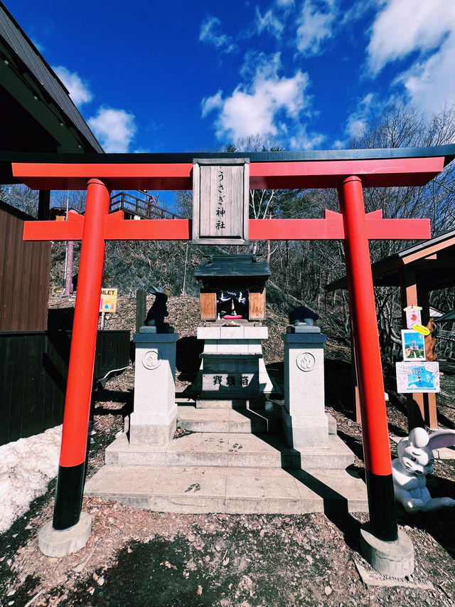［東京旅遊］天上山公園-搭乘纜車🚡遠眺富士山🗻風光
