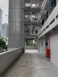 Crawford Court’s Rooftop: A Quiet Spot You Didn’t Know About