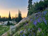 Salt Lake City, Utah – Where Urban Energy Meets Wild Adventure