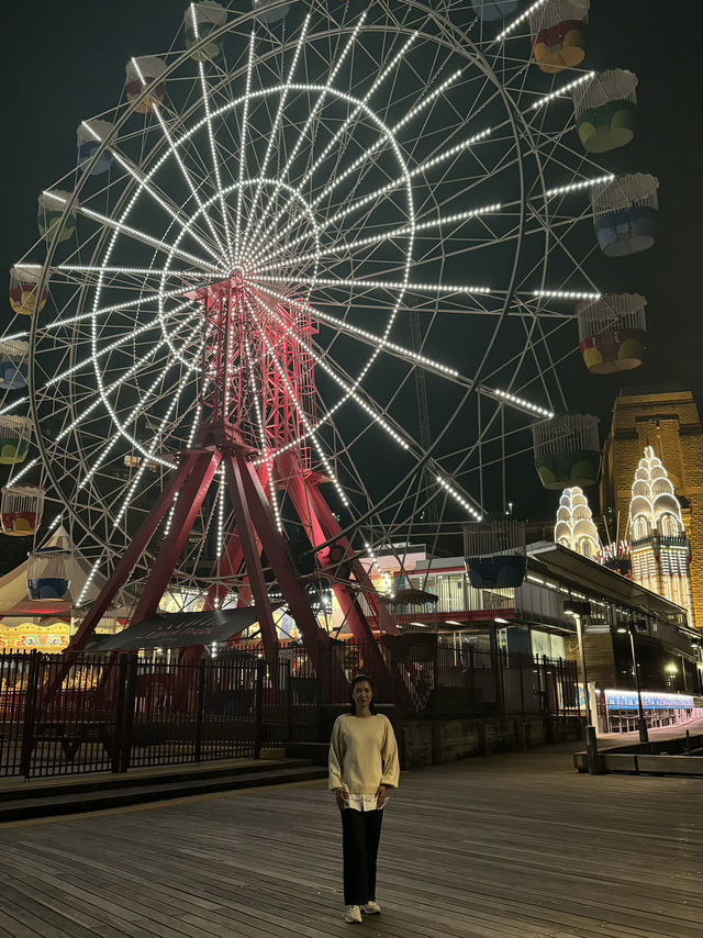 The Massive Grinning Face of Luna Park 