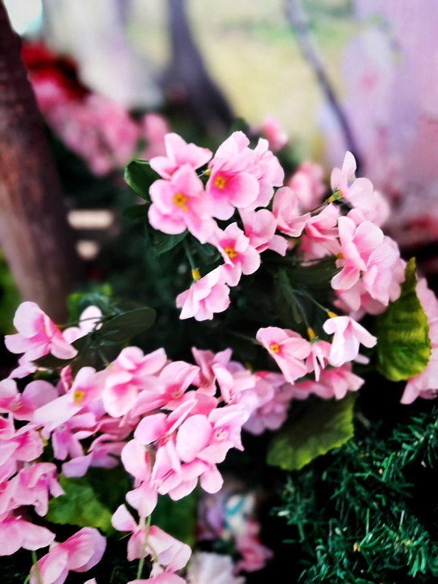 Petal Paradise at Hirosaki Park – Aomori’s Crown Jewel