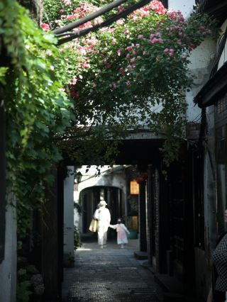 Xitang Ancient Town: Embracing a Slow Life