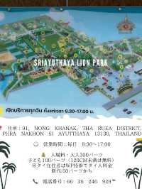 📍こどもとたのしむ【Sriayuthaya Lion Park】  動物との距離が近すぎて、大人も子供も楽しめる動物園