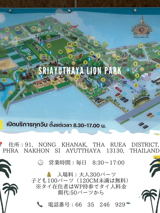 📍こどもとたのしむ【Sriayuthaya Lion Park】  動物との距離が近すぎて、大人も子供も楽しめる動物園
