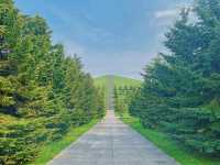 Moerenuma Park – Where Art Meets Nature in Sapporo