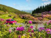 Tipperary – Ireland’s Historic Heartland of Rolling Hills and Heritage