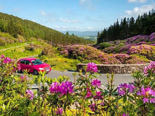 Tipperary – Ireland’s Historic Heartland of Rolling Hills and Heritage