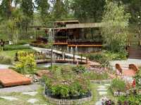 Winter Flower Garden, Betong - A Dreamy Floral Wonderland in Southern Thailand