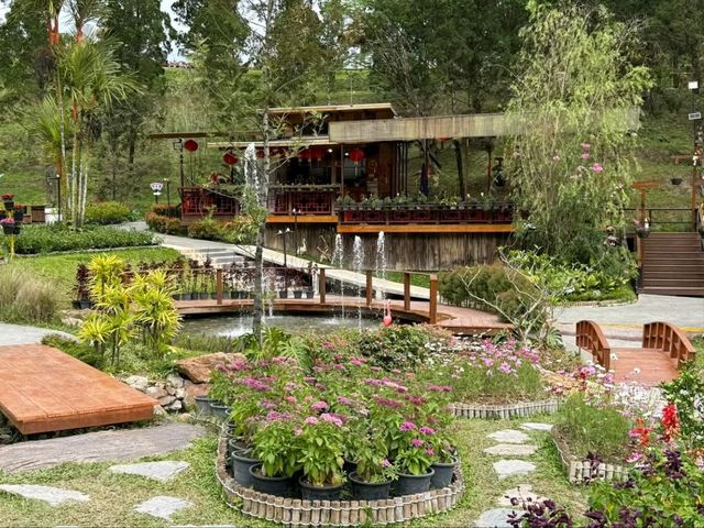 Winter Flower Garden, Betong - A Dreamy Floral Wonderland in Southern Thailand
