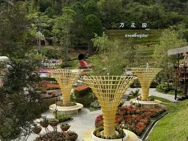Winter Flower Garden, Betong - A Dreamy Floral Wonderland in Southern Thailand