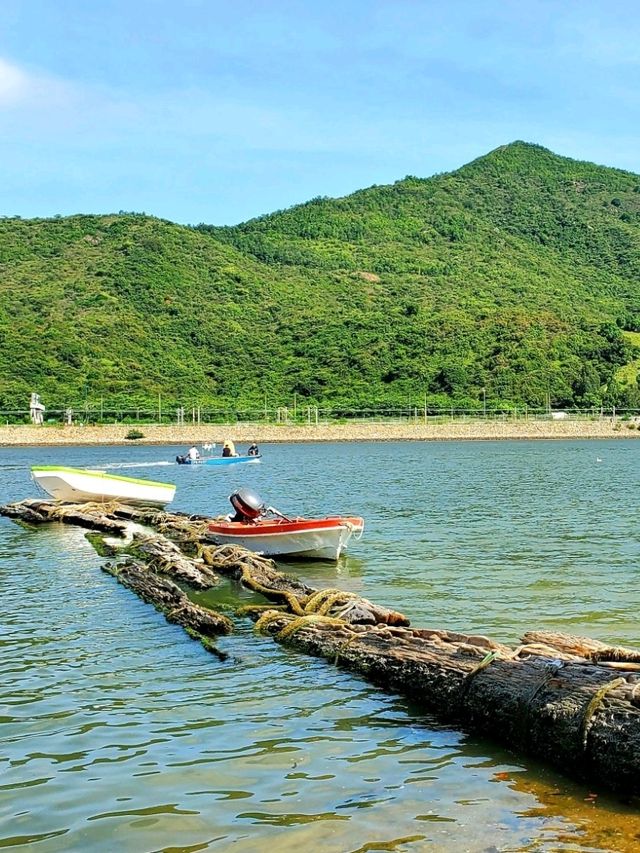端午節走過欣澳灣連島沙洲