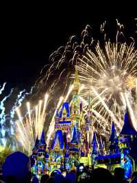 Disney Dreams Come True: A Day at the Kingdom!