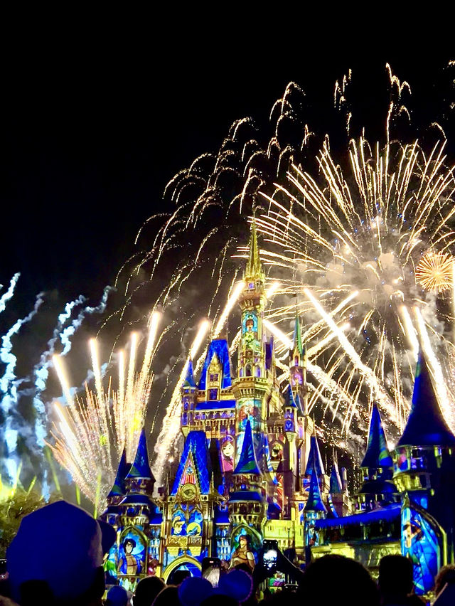 Disney Dreams Come True: A Day at the Kingdom!