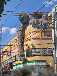 🇯🇵探秘東京隱藏寶地🦧三軒茶屋必逛指南，打卡猩猩樓🦍