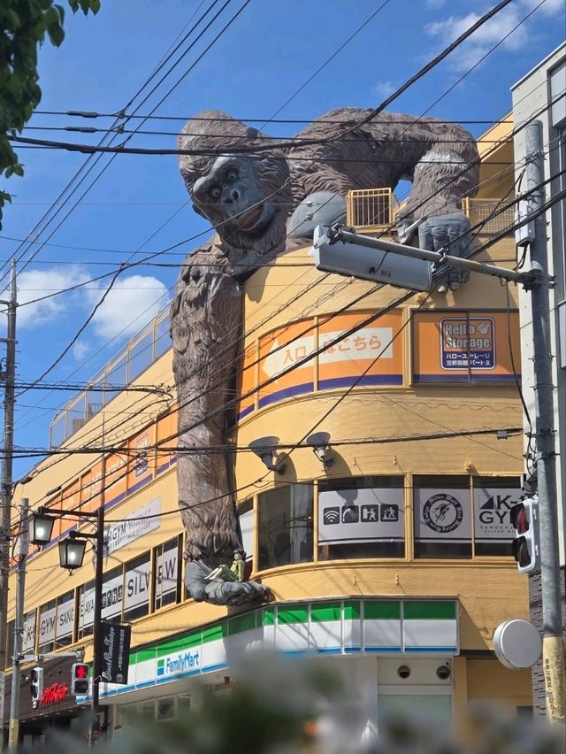 🇯🇵探秘東京隱藏寶地🦧三軒茶屋必逛指南，打卡猩猩樓🦍