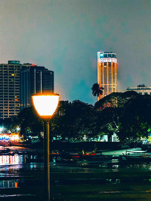 A Coastal Glow After Dark: Night Walk at Gurney Bay Park