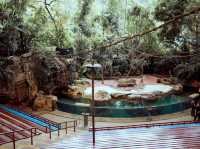 Singapore Zoo
