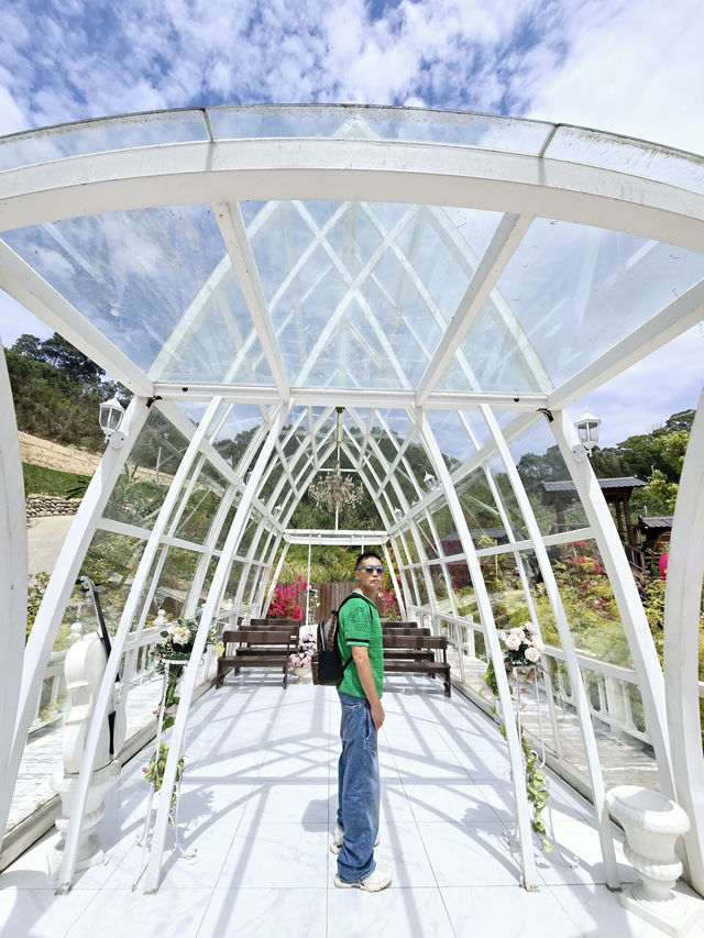 苗栗最夢幻打卡景點，超過30個場景任意拍！