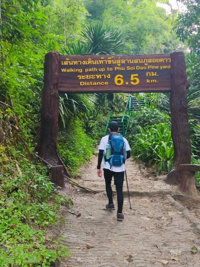 เดินป่าหน้าฝน อุทยานแห่งชาติภูสอยดาว อุตรดิตถ์