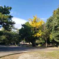 【四日市】鵜森神社