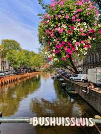 Amsterdam in Springtime: A City Awash in Color and Charm