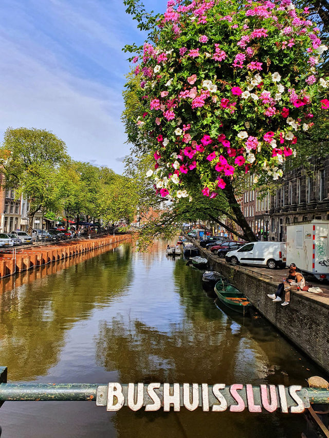 Amsterdam in Springtime: A City Awash in Color and Charm