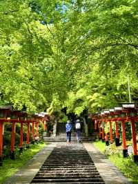京都｜天狗守護的鞍馬山 三位一體尊天信仰造就鞍馬寺的獨特