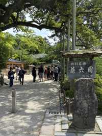 【石川県・金沢市】大庭園！兼六園🌲