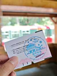 🚂 All Aboard the Red Train: Discovering Alishan Forest's Timeless Charm 🌲🍂