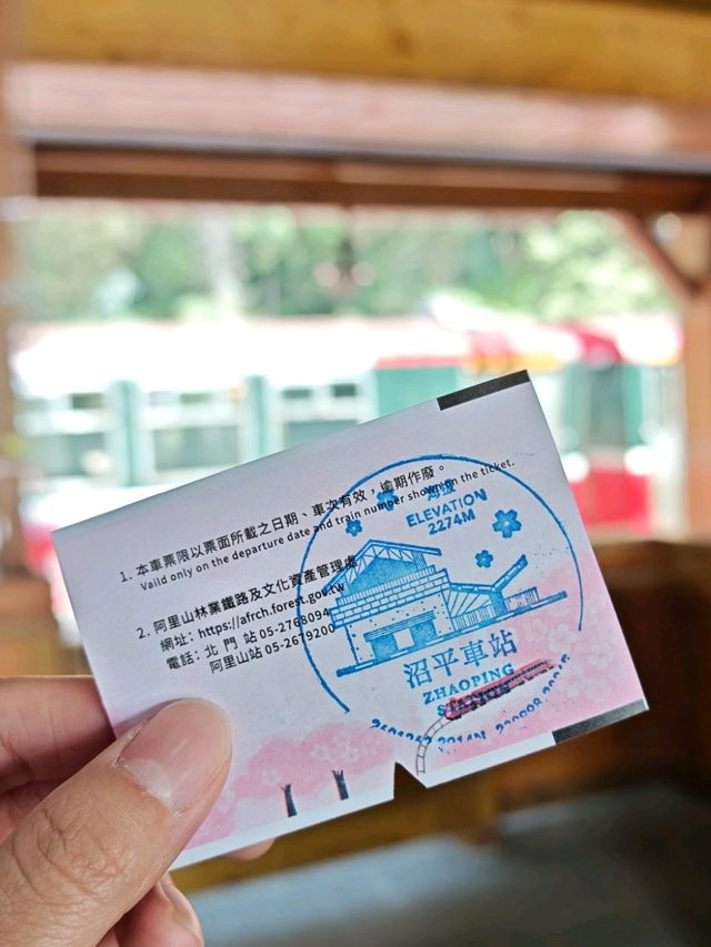 🚂 All Aboard the Red Train: Discovering Alishan Forest's Timeless Charm 🌲🍂