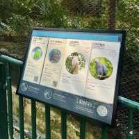 🌿🐒 Hong Kong’s Backyard Paradise — Deep Dive into the Zoological & Botanical Gardens!