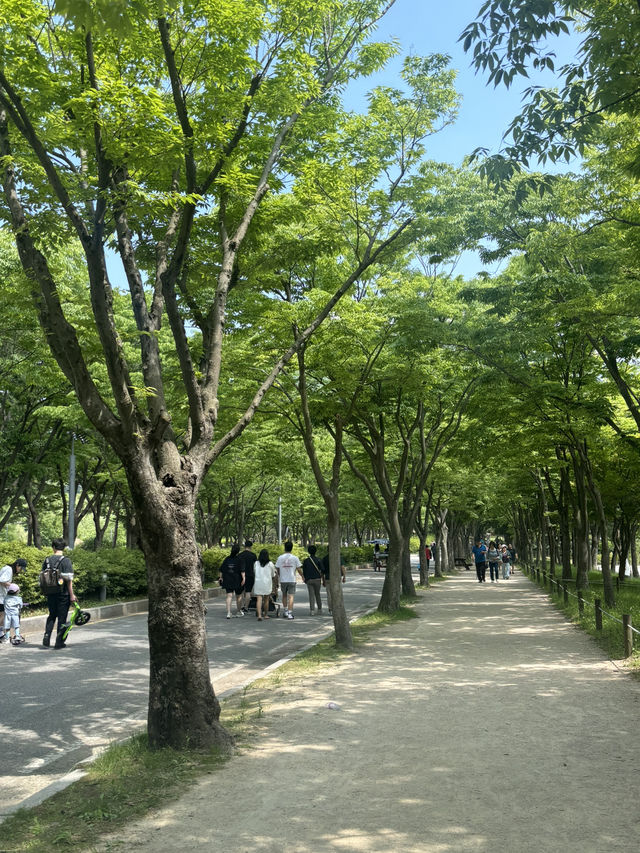 인천대공원 나들이 가보자!