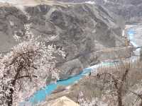 🌸Spring in Pakistan – A Season Like No Other