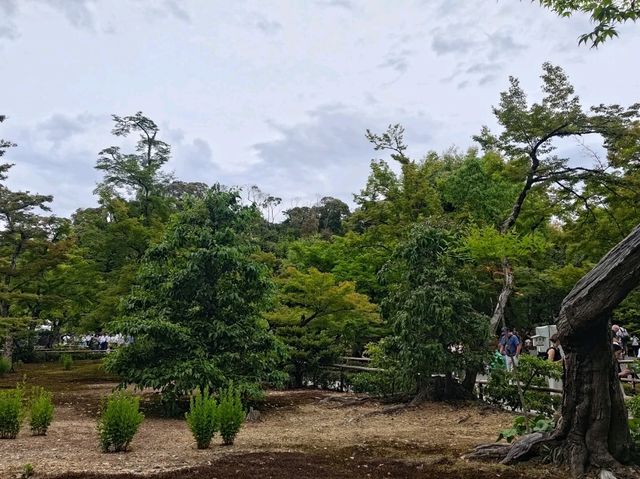 京都 北山鹿苑寺(金閣寺)