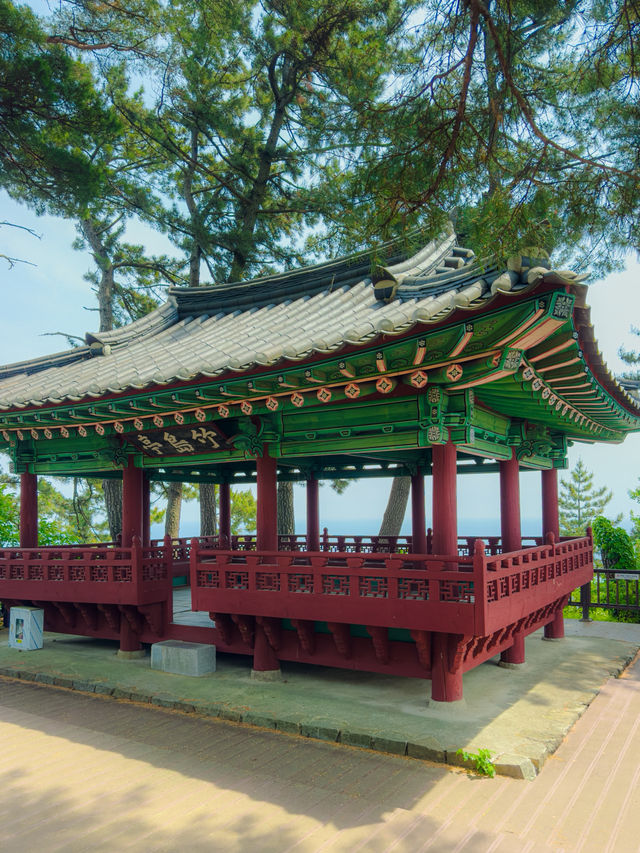 푸른바다&숲길이 있는 양양 힐링여행지