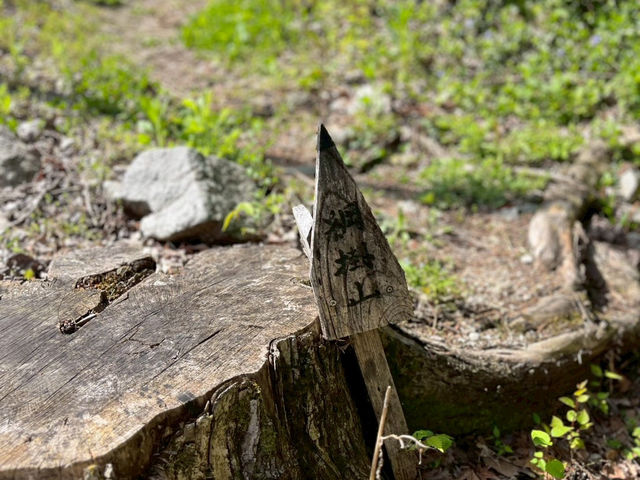【静けさと絶景に包まれる、網掛山トレッキング⛰🌿】
