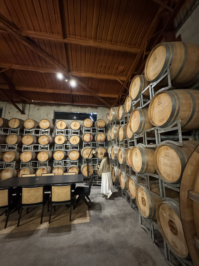 🍷🇦🇺Sipping Through Hunter Valley: A Wine Lover’s Paradise
