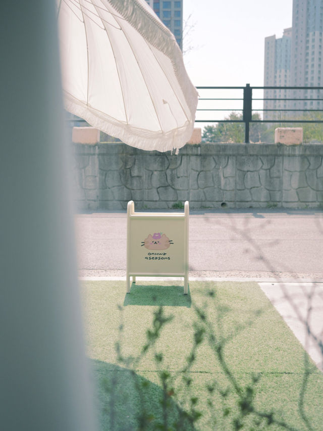 💘온화사계_고양 삼송영 카페🫧