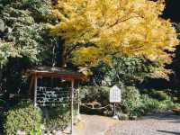 บ่อน้ำพุร้อนสีเลือด (Jigoku Meguri Beppu)