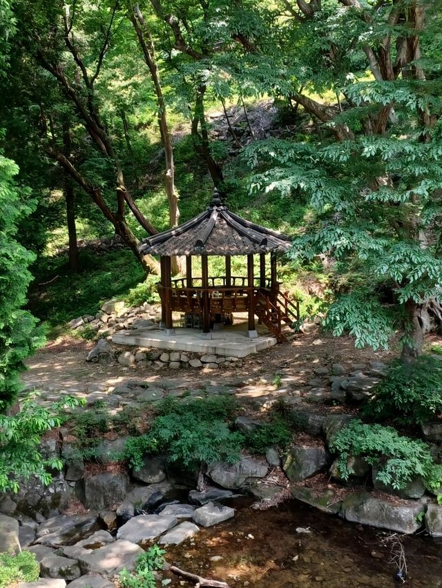 주말 힐링은 사찰에서🌿